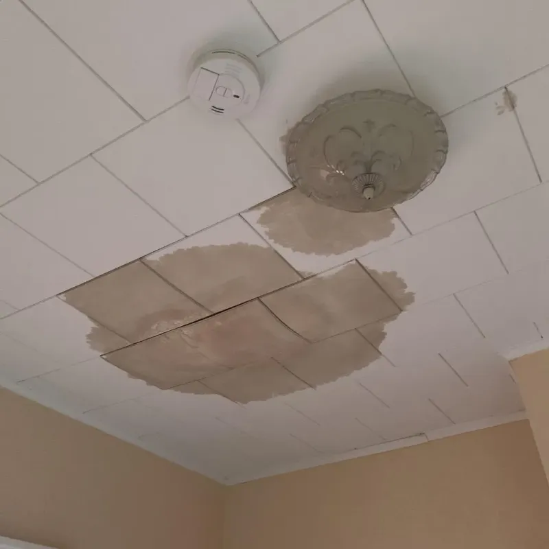 Ceiling Water Damage Repair in Coahoma County, MS