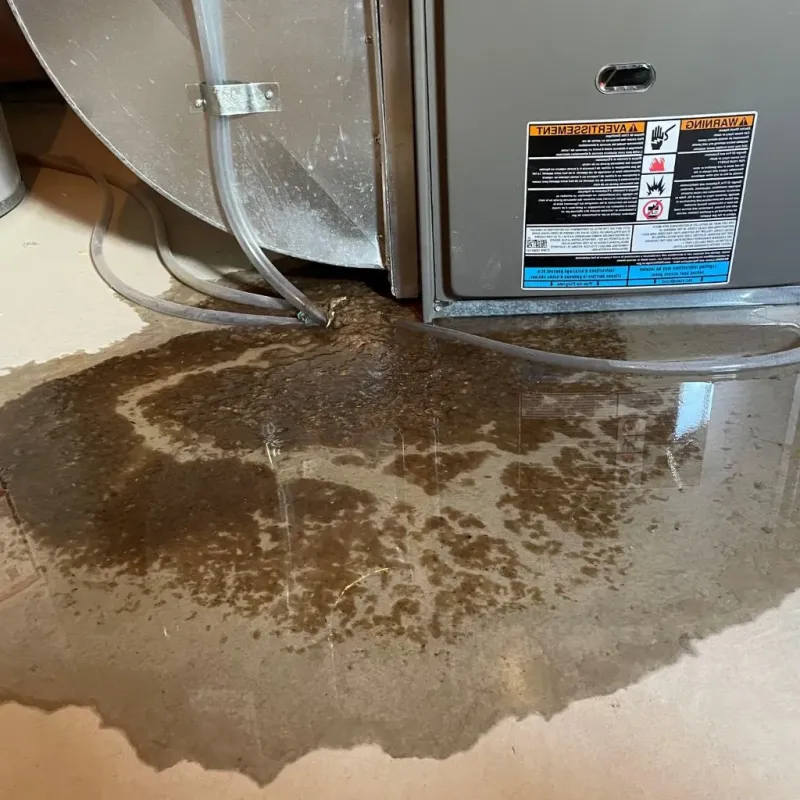 Pipe Burst and Leak Restoration in Coahoma County, MS