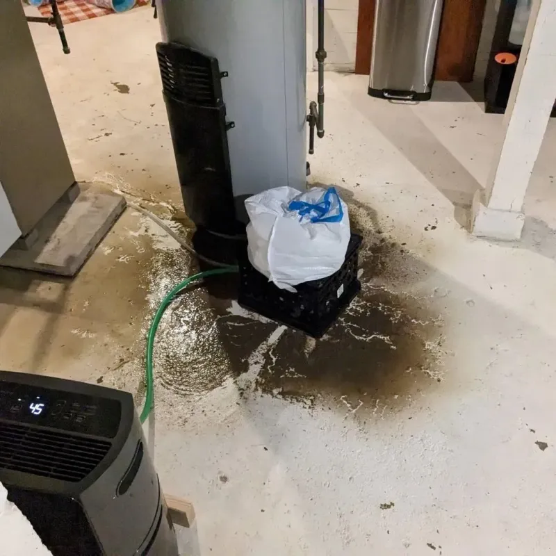 Sewage Backup Cleanup Service in Coahoma County, MS